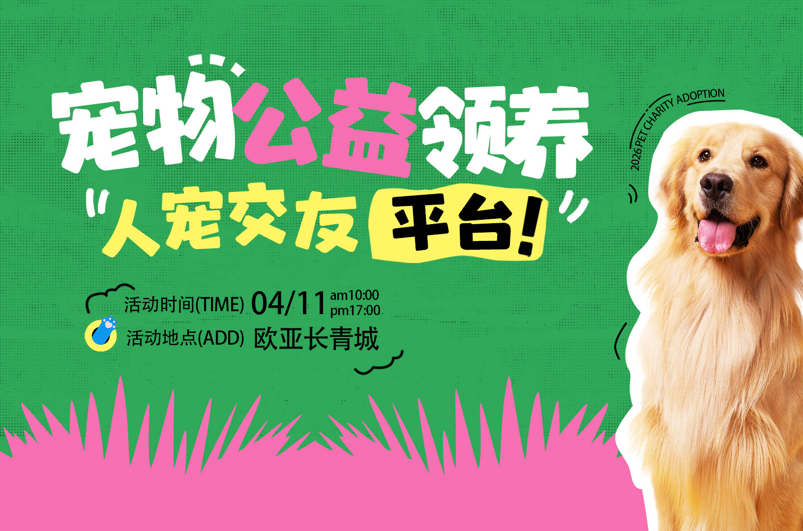 千寻公益领养平台丨送养有爱 领养有责