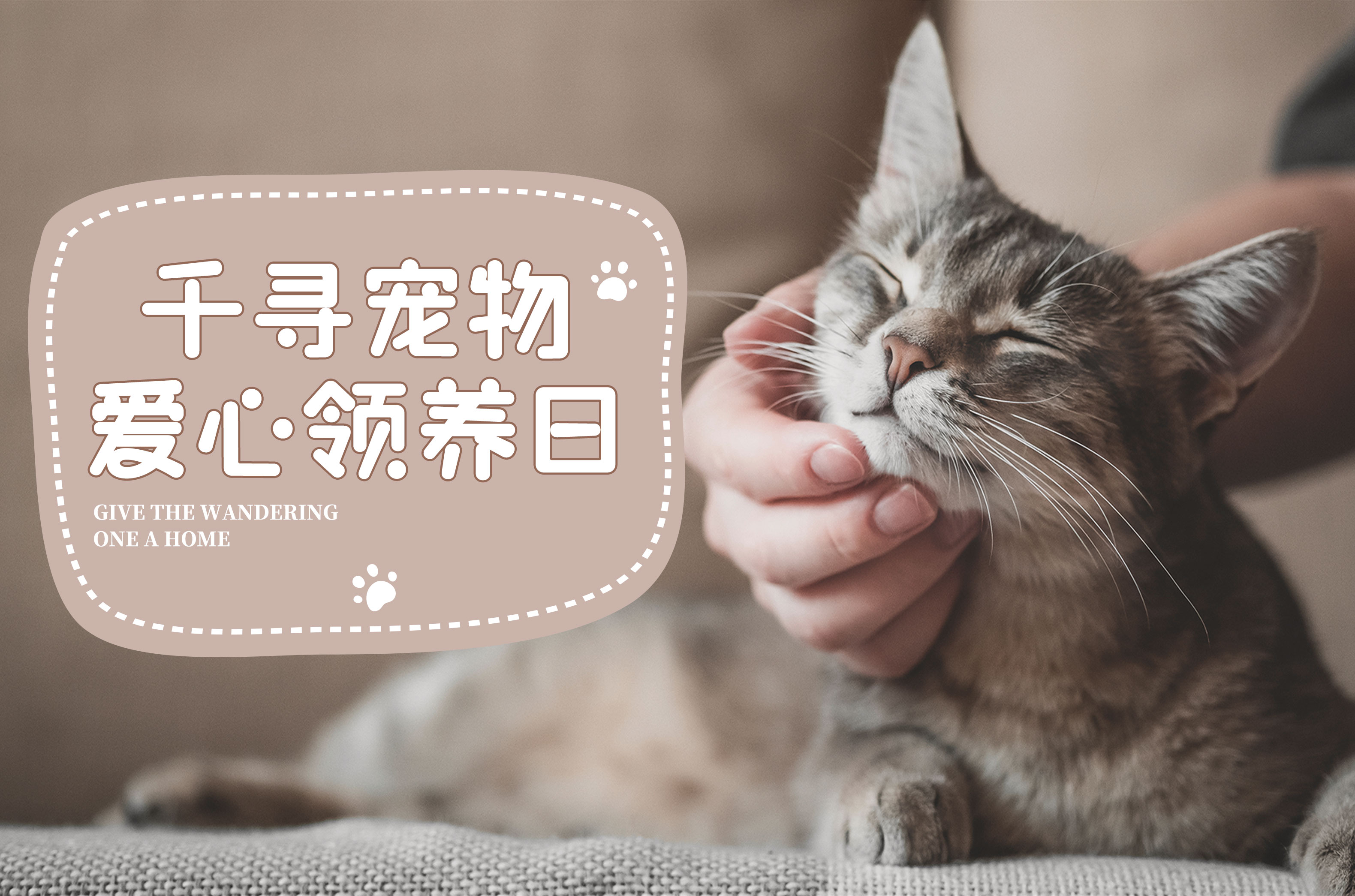 千寻宠物领养日丨终止流浪，用陪伴温暖余生