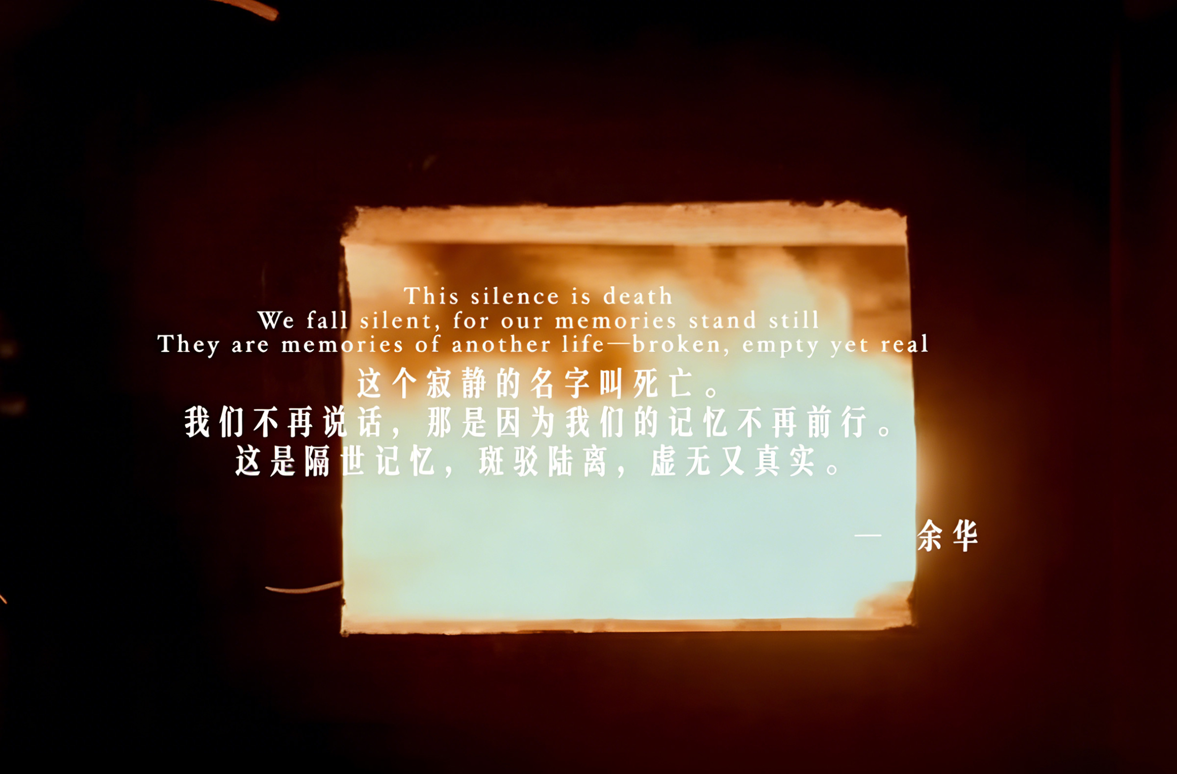 别让它们的流浪 以孤独落幕