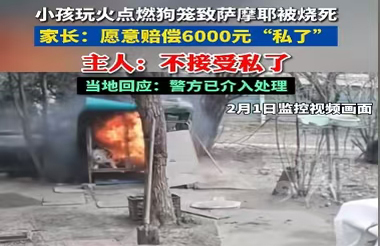 熊孩子玩火燒死寵物狗 聚焦寵物安全問題