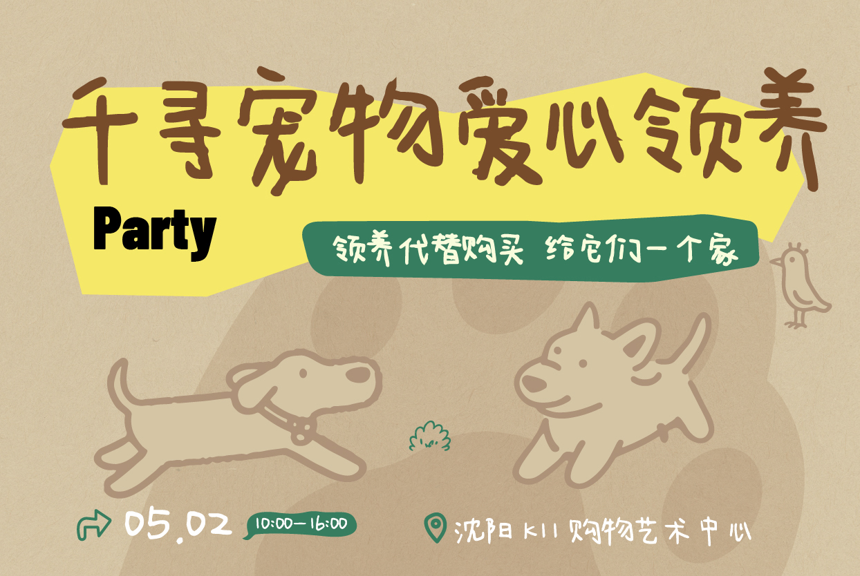 千寻宠物领养日丨用爱意终结流浪