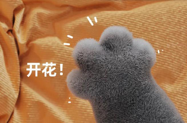 猫爪的5个冷知识，知道3个以上才是合格“铲屎官”