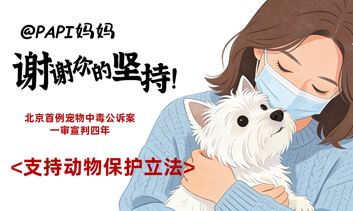 致敬Papi妈妈的坚守，期待动物保护立法更进一步！