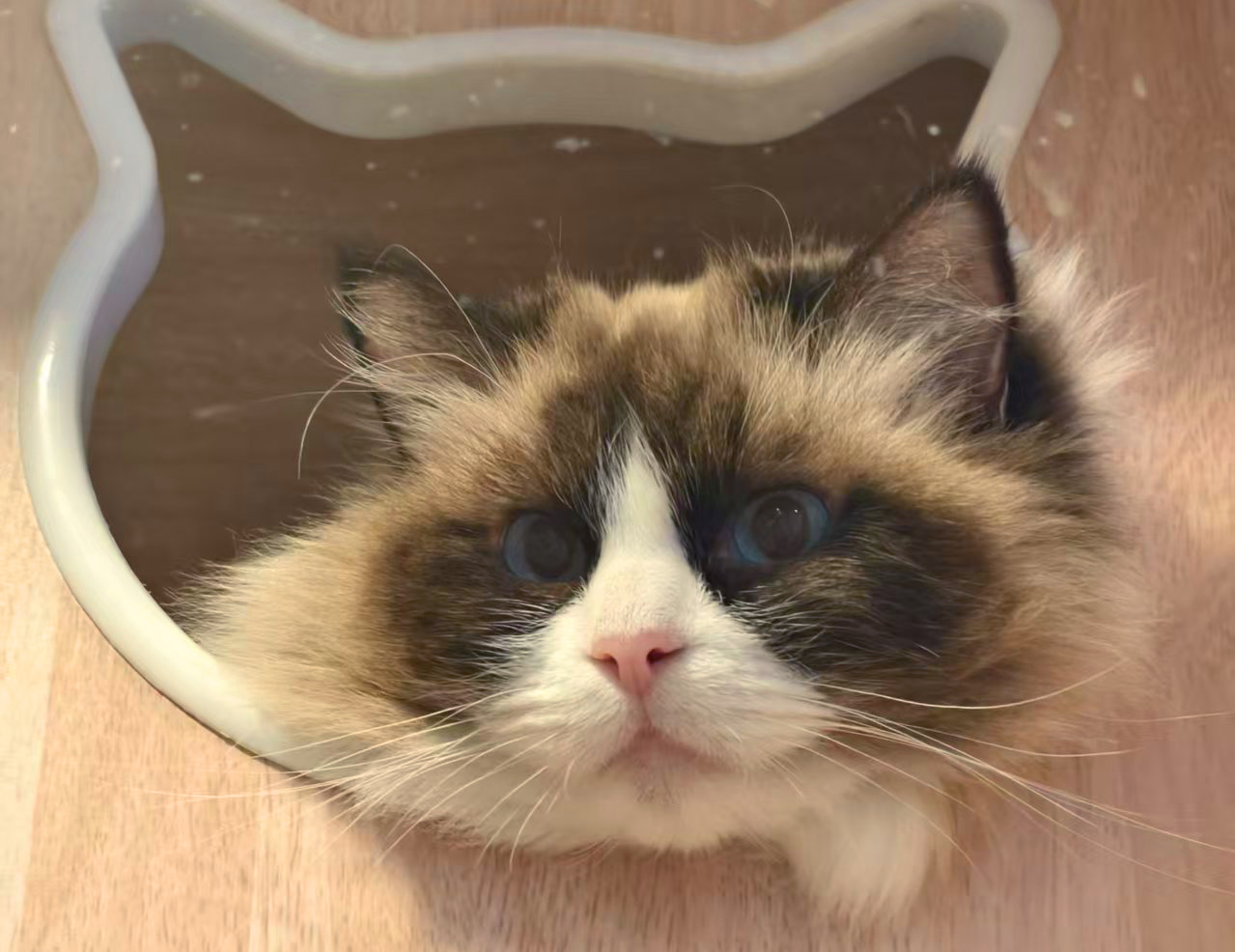 周霓虹的心愿：求一個不拋棄的家